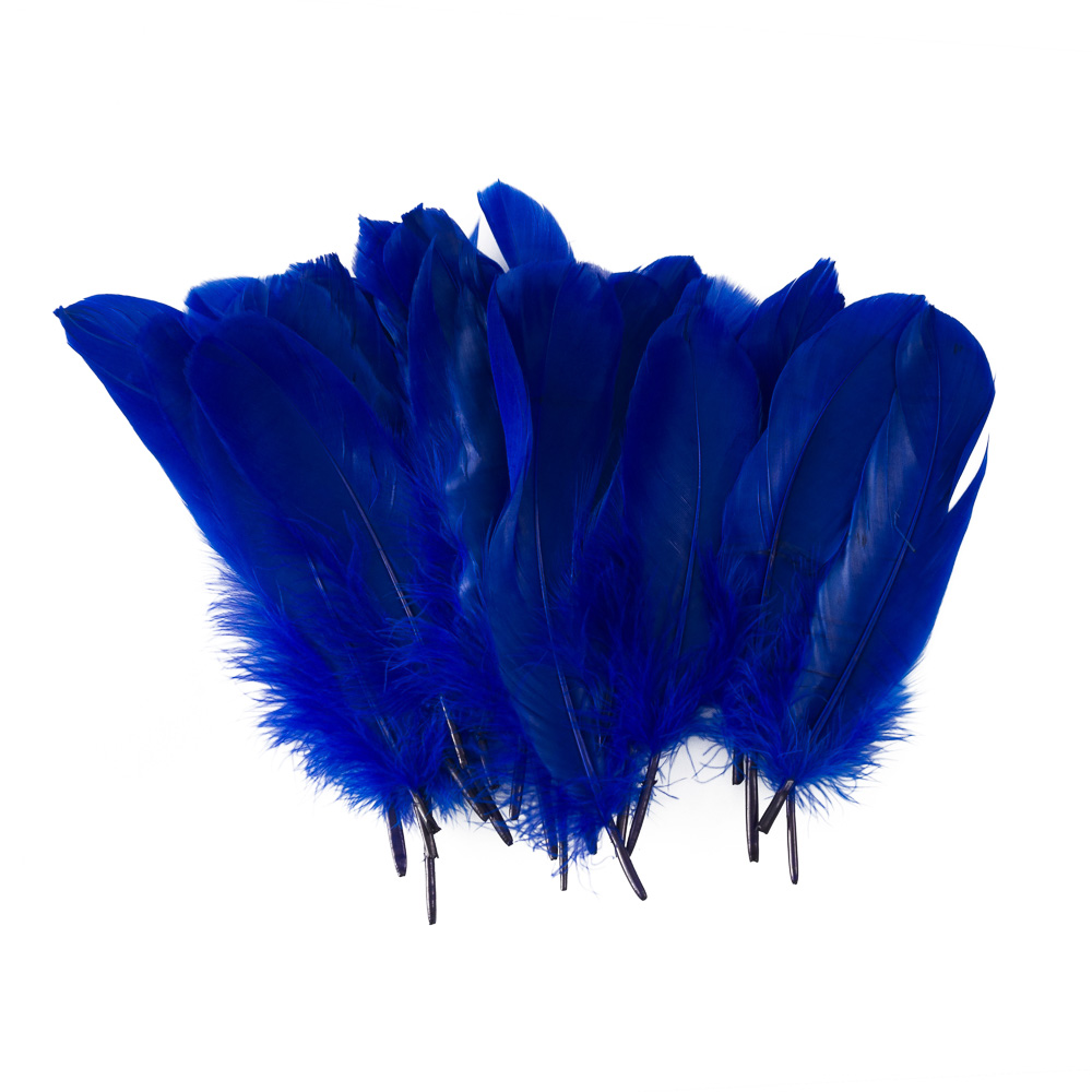 PLUMAS GRANDES AZULES 24 U. FAST
