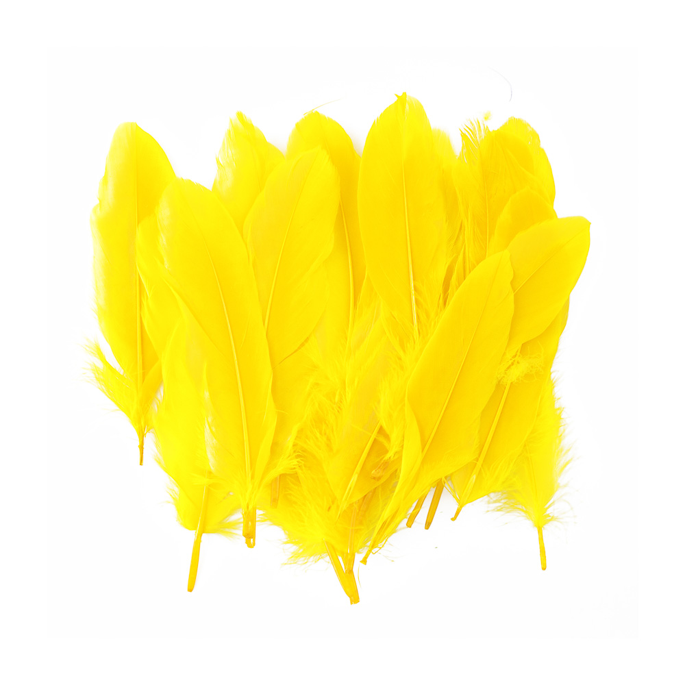 PLUMAS GRANDES AMARILLAS 24 U. FAST