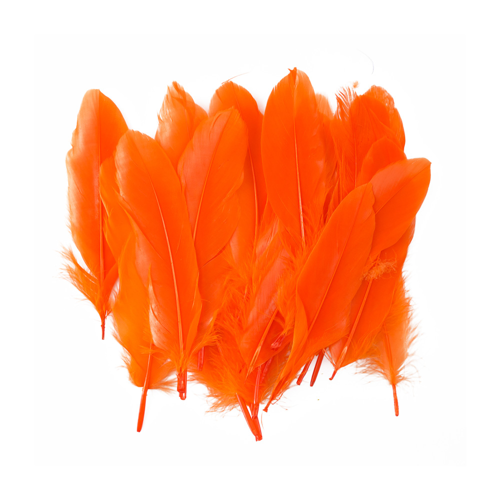 PLUMAS GRANDES NARANJA 24 U. FAST