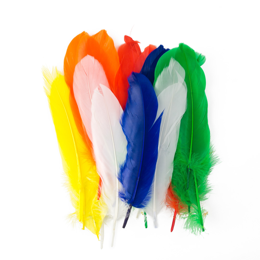 PLUMAS SURTIDAS GRANDES 24 U. FAST