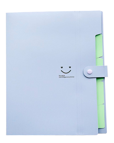 ACORDEON PLASTICO 5 DIVIDIONES, COLORES BRETTON
