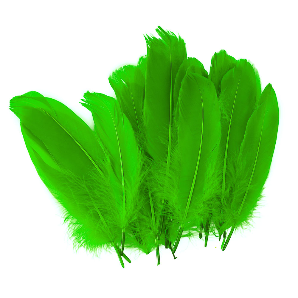 PLUMAS GRANDES VERDE CLARO 24 U. FAST