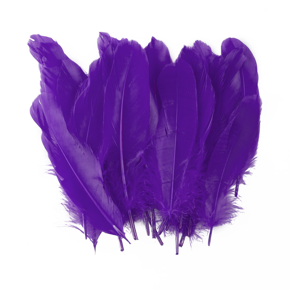PLUMAS GRANDES MORADO 24 U. FAST