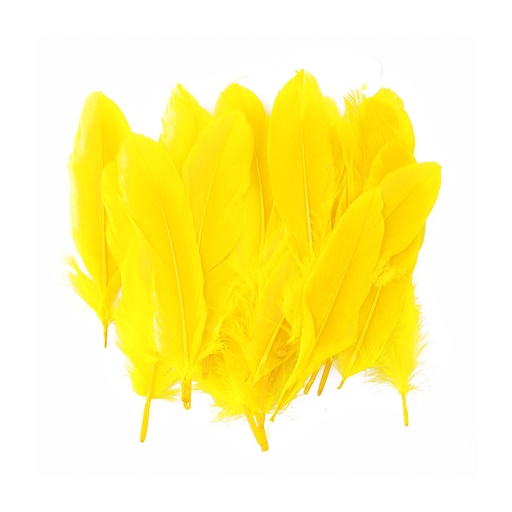 PLUMAS GRANDES AMARILLAS 24 U. FAST