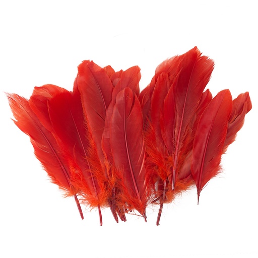 PLUMAS GRANDES ROJAS 24 U. FAST