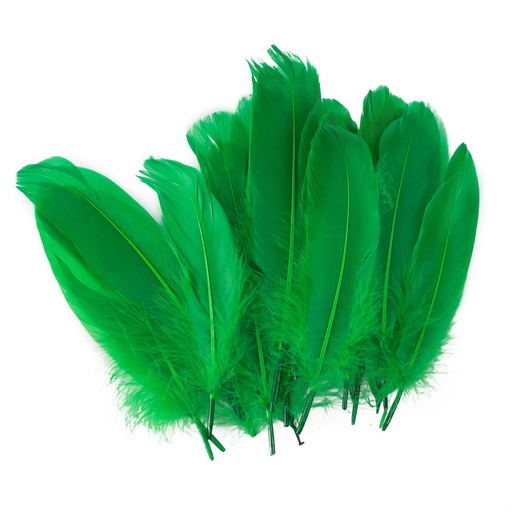 PLUMAS GRANDES VERDES 24 U. FAST