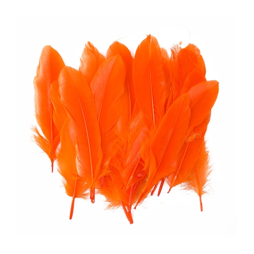 PLUMAS GRANDES NARANJA 24 U. FAST