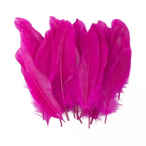 PLUMAS GRANDES FUCSIA 24 U. FAST