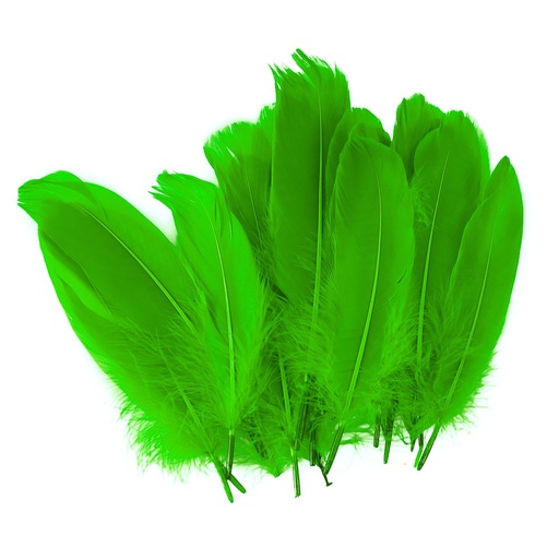 PLUMAS GRANDES VERDE CLARO 24 U. FAST