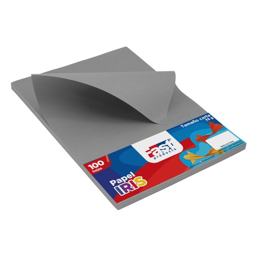 PAPEL BOND 75 G. 100 H. GRIS-PLATA FAST