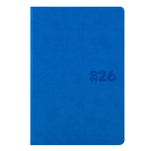 AGENDA BOSTON AZUL 2026 DIDEX 